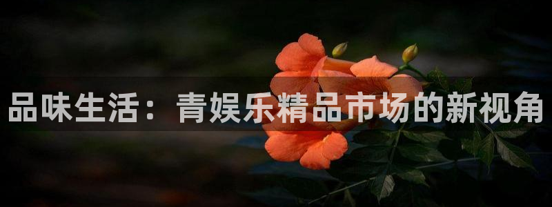 长运娱乐平台官网入口：品味生活：青娱乐精品市场的新视角