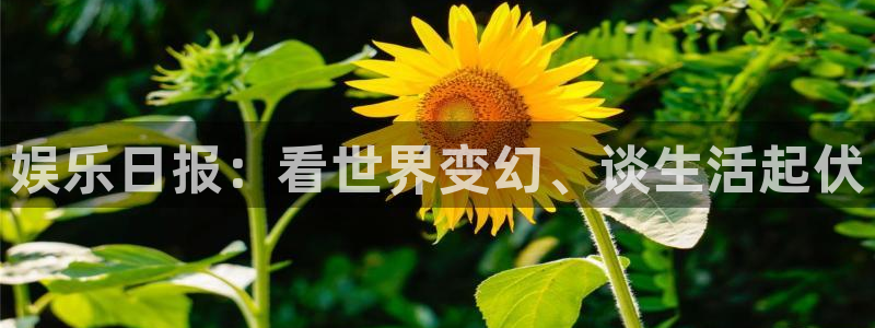 长运娱乐平台：娱乐日报：看世界变幻、谈生活起伏