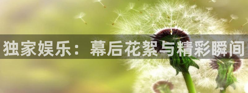 长运娱乐账号登录网站：独家娱乐：幕后花絮与精彩瞬间