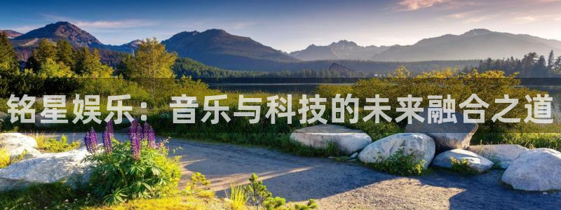 长运娱乐平台官网入口：铭星娱乐：音乐与科技的未来融合之道