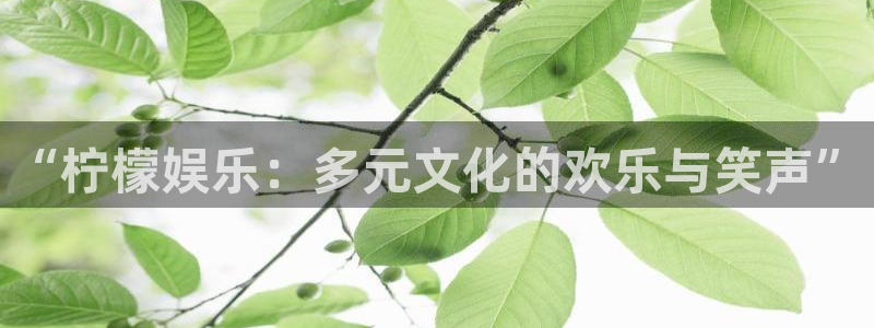 长运娱乐账号登录网站：“柠檬娱乐：多元文化的欢乐与笑声”